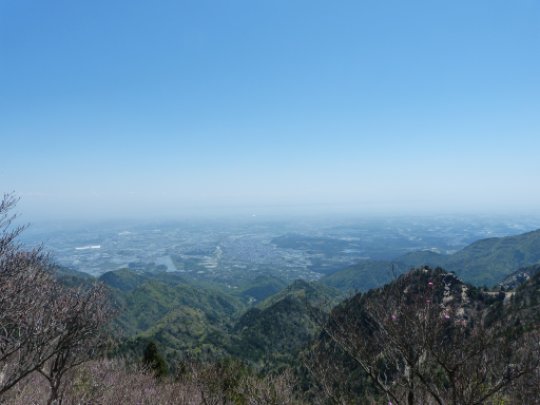 青岳